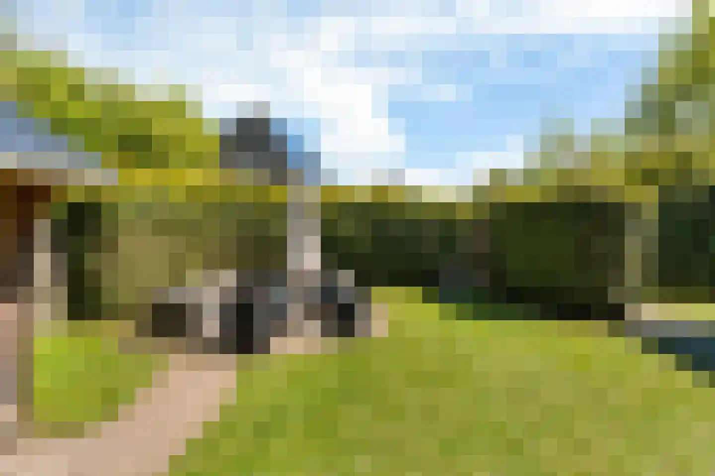 Yn 'e Lijte 55 Grou thumbnail 21