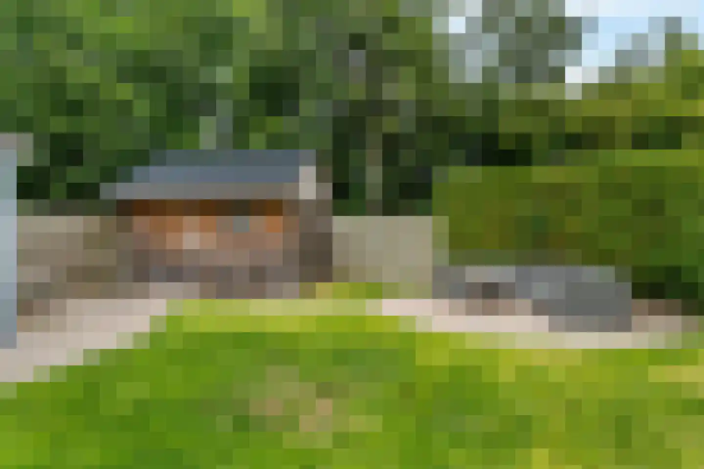 Yn 'e Lijte 55 Grou thumbnail 22