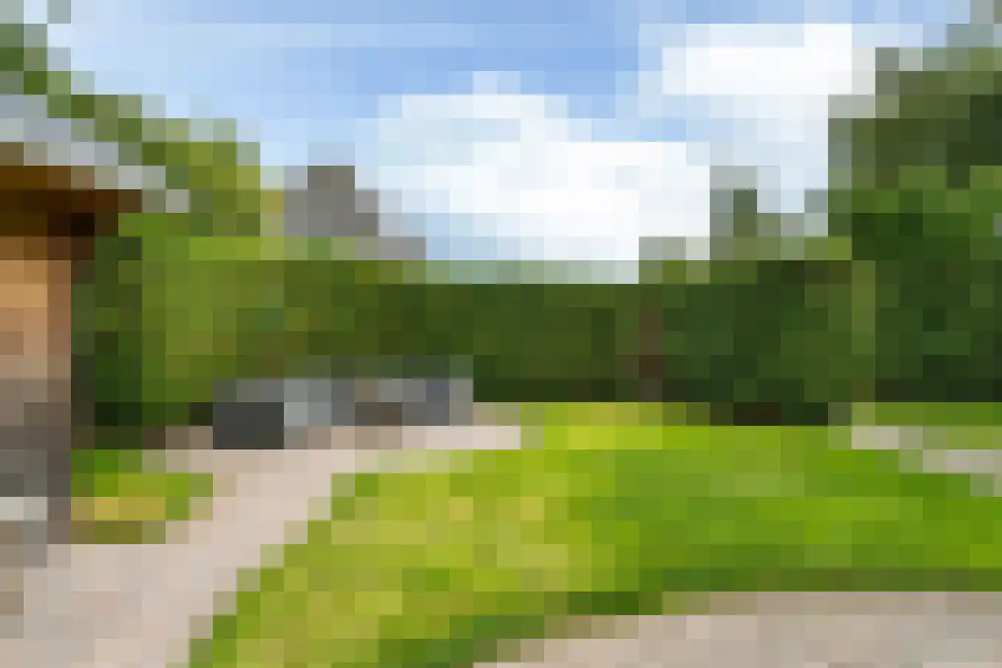 Yn 'e Lijte 55 Grou thumbnail 23