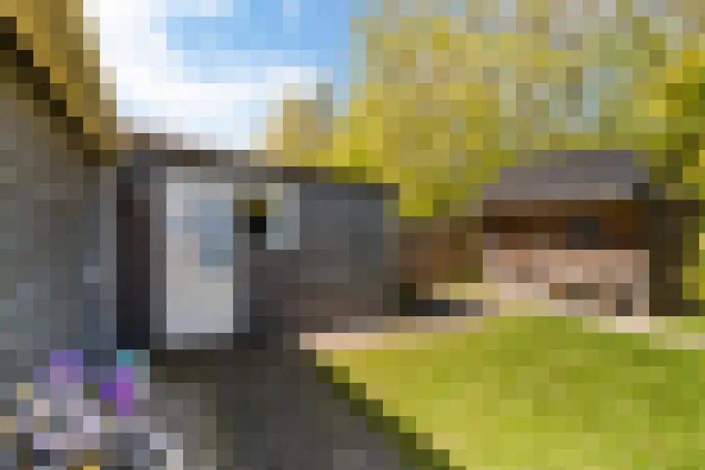 Yn 'e Lijte 55 Grou thumbnail 23