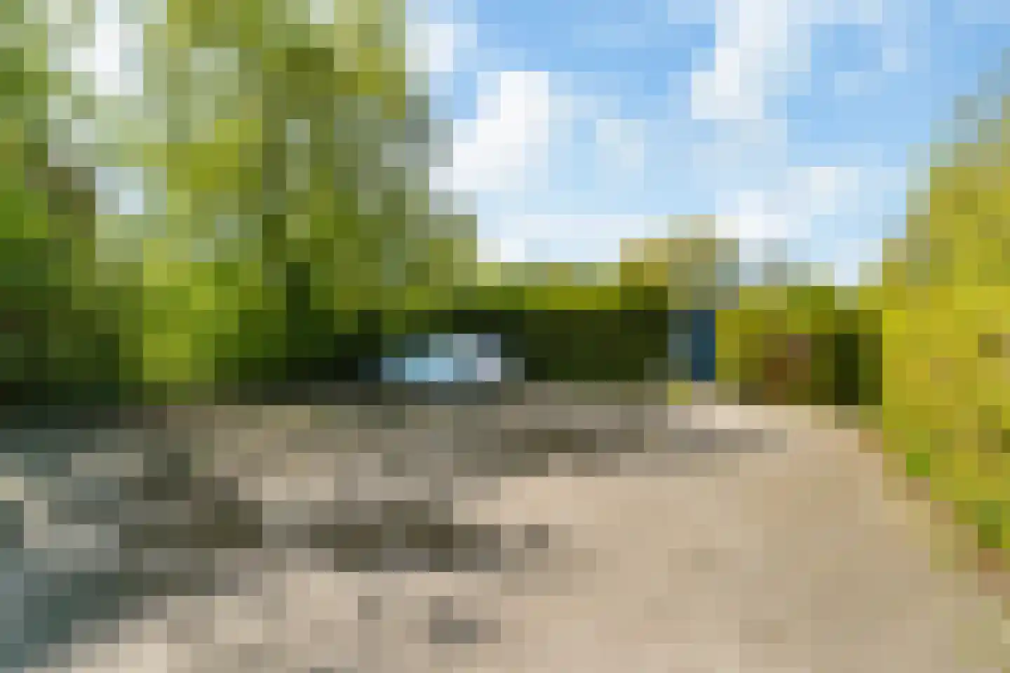 Yn 'e Lijte 55 Grou thumbnail 24