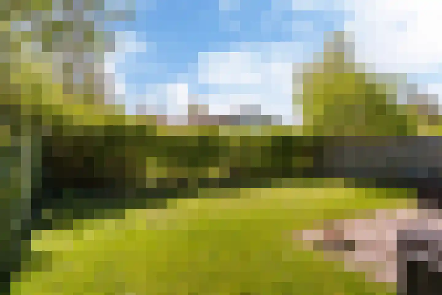 Yn 'e Lijte 55 Grou thumbnail 25