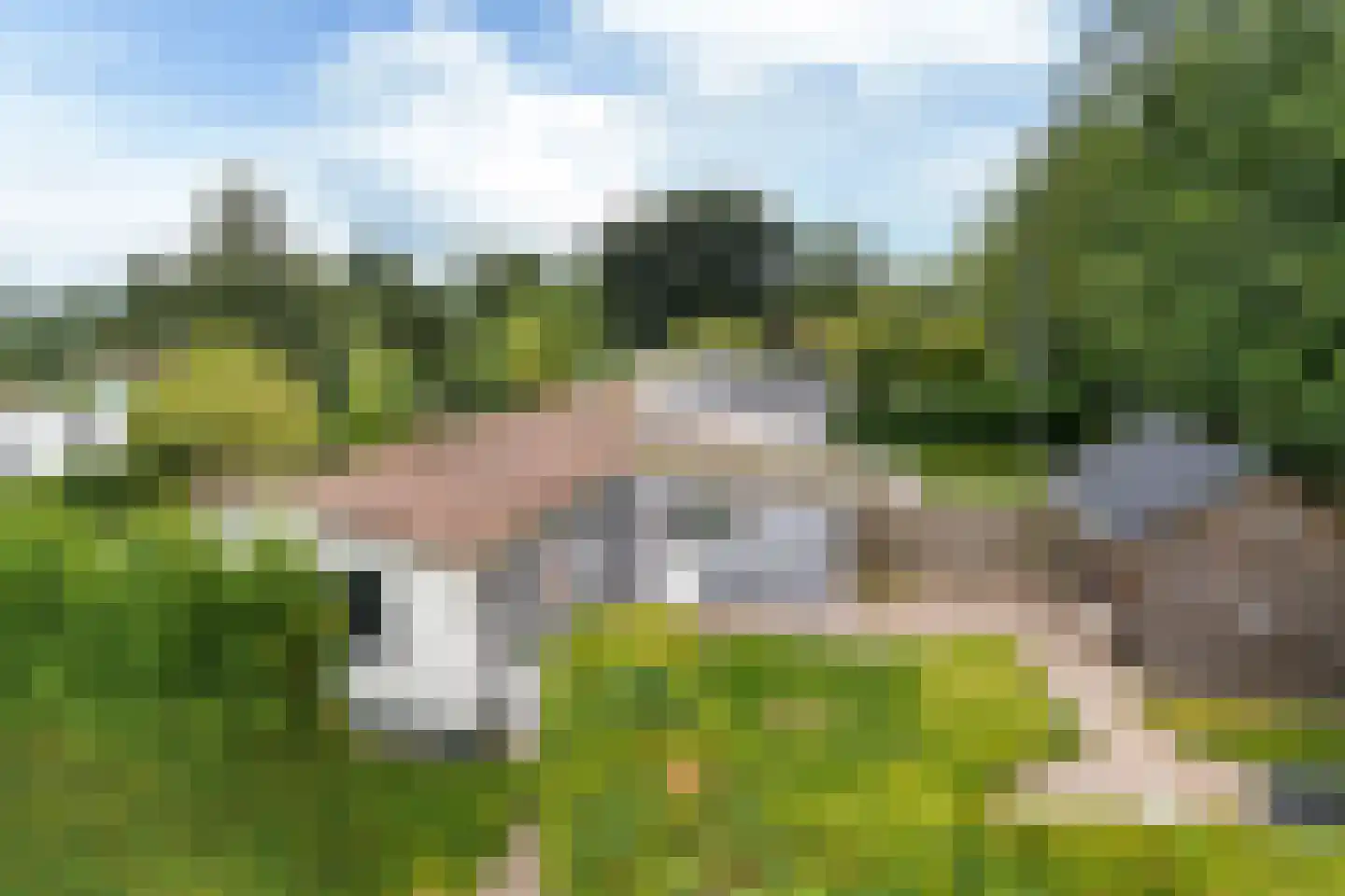 Yn 'e Lijte 55 Grou thumbnail 26
