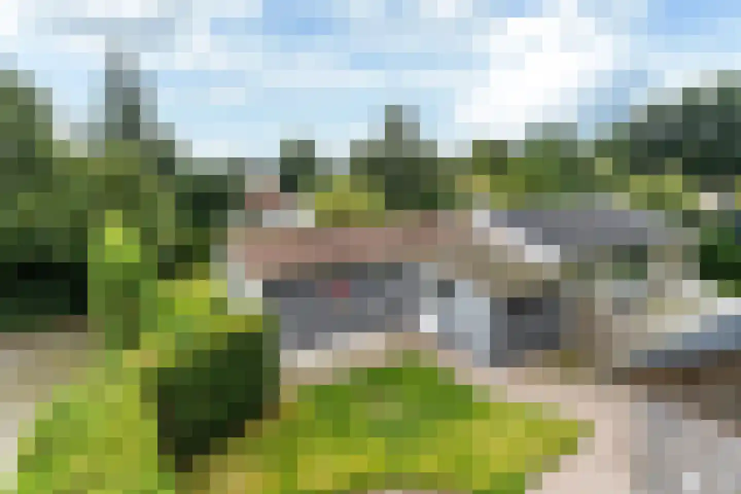 Yn 'e Lijte 55 Grou thumbnail 27