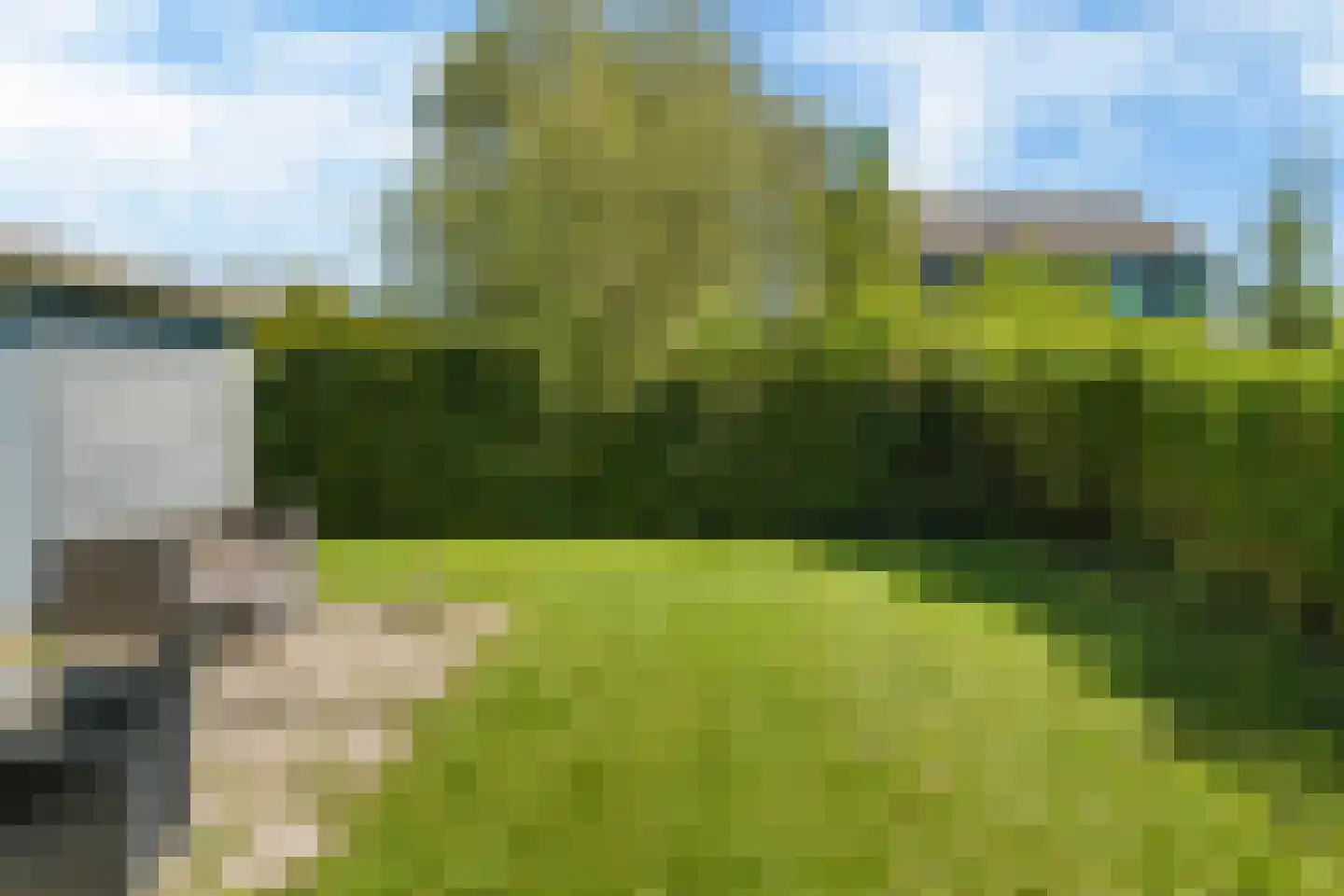 Yn 'e Lijte 55 Grou thumbnail 27
