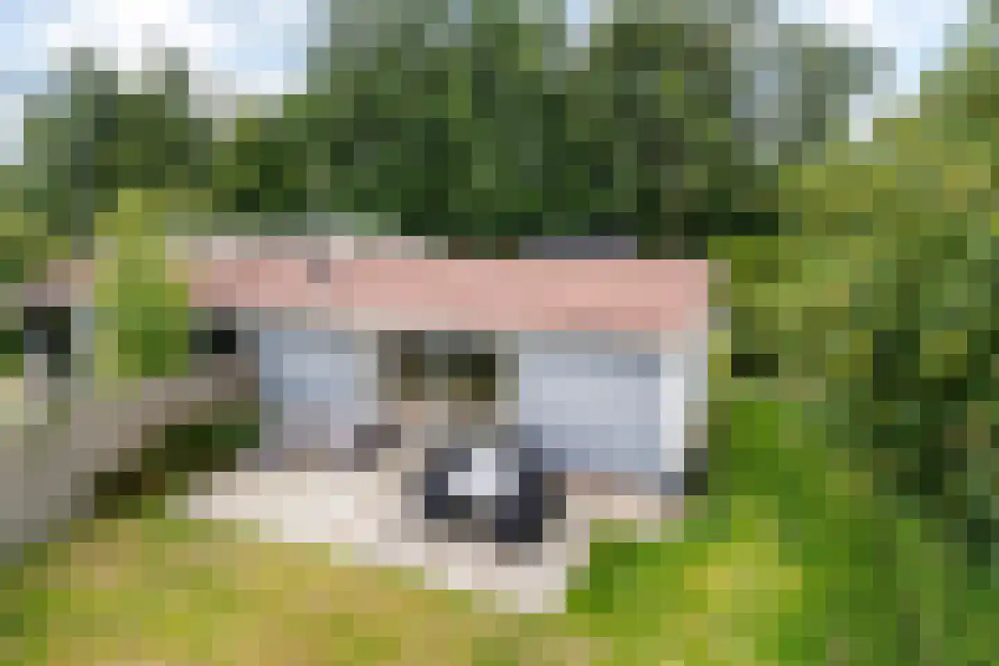 Yn 'e Lijte 55 Grou thumbnail 28