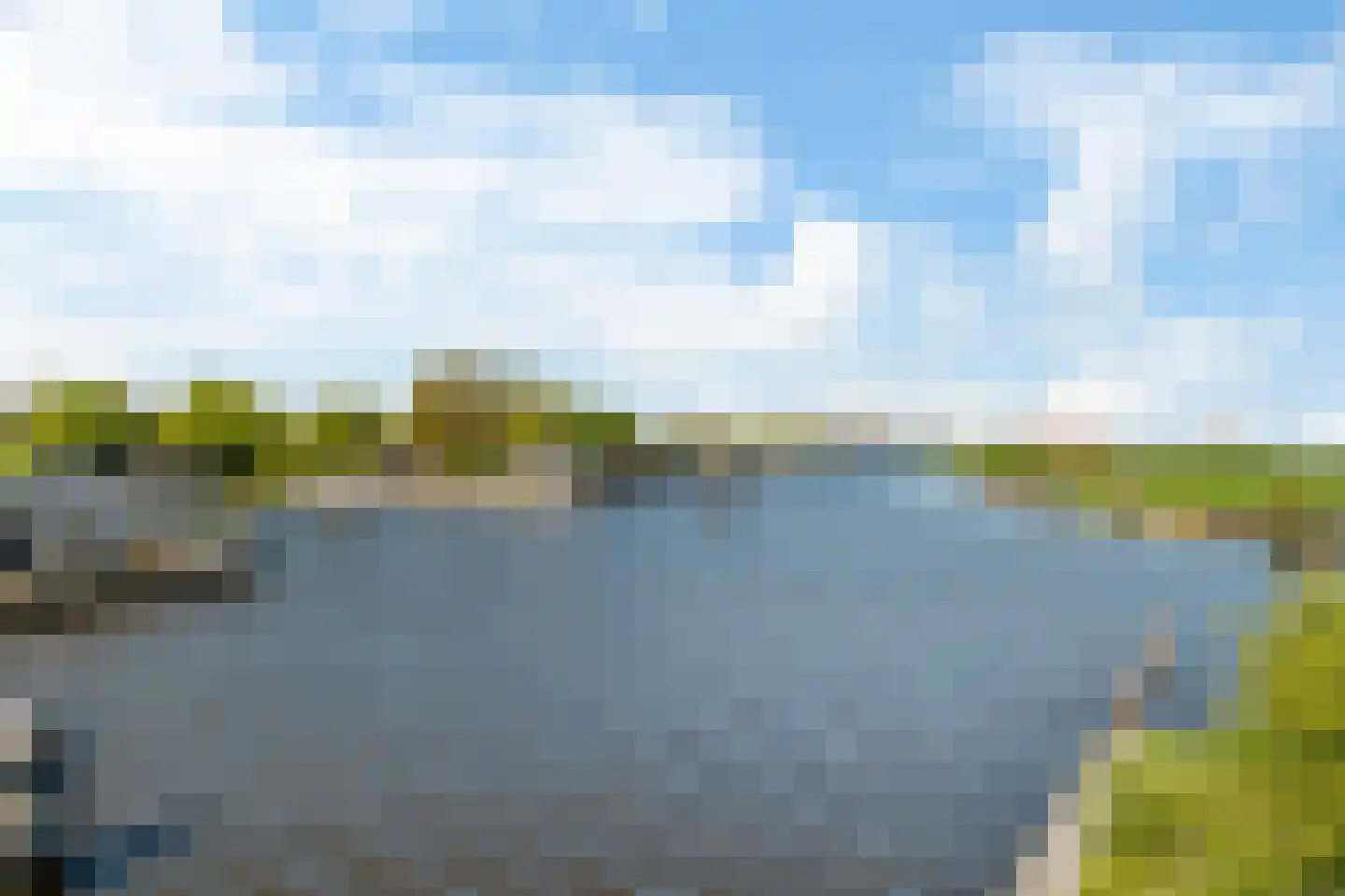 Yn 'e Lijte 55 Grou thumbnail 29