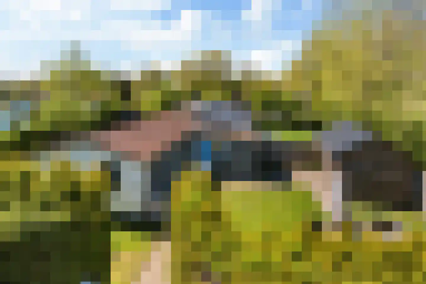 Yn 'e Lijte 55 Grou foto 3