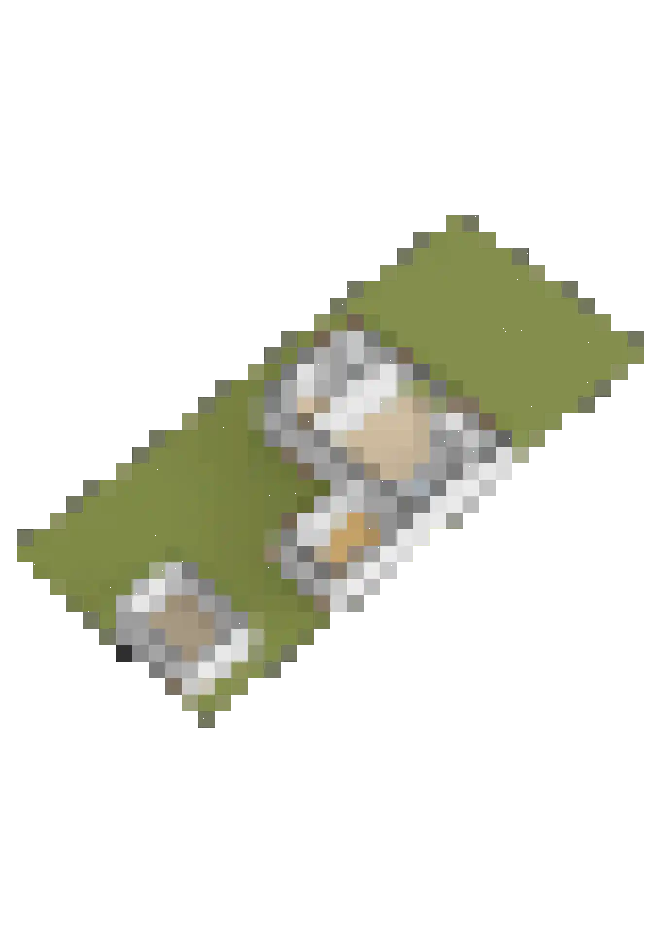 Yn 'e Lijte 55 Grou thumbnail 38