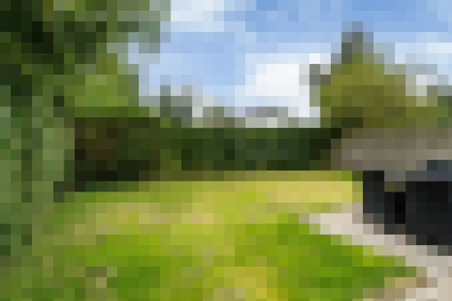 Yn 'e Lijte 55 Grou thumbnail 4