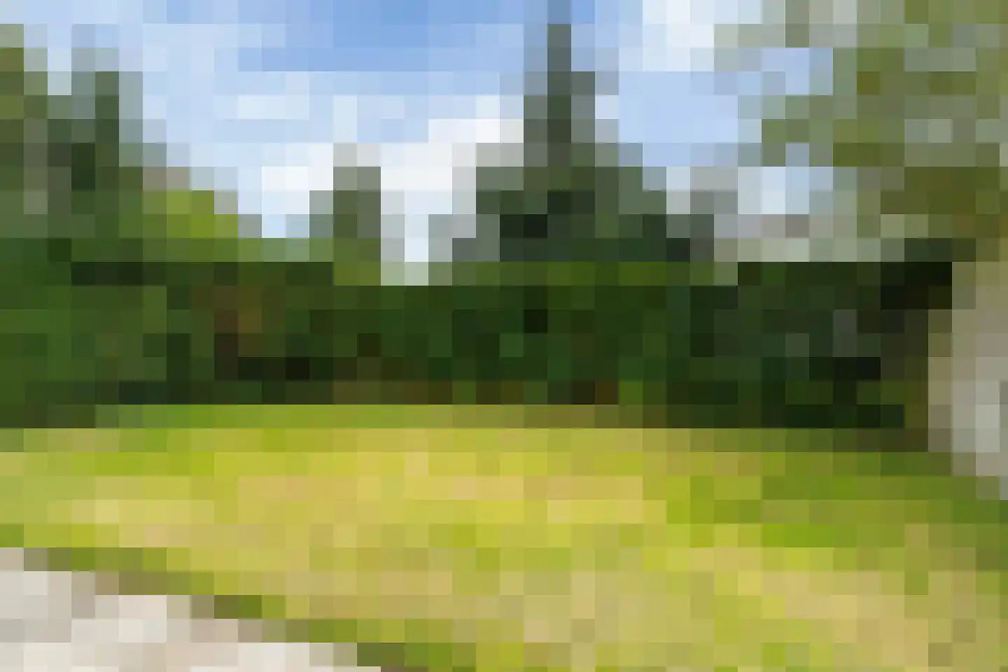 Yn 'e Lijte 55 Grou thumbnail 5