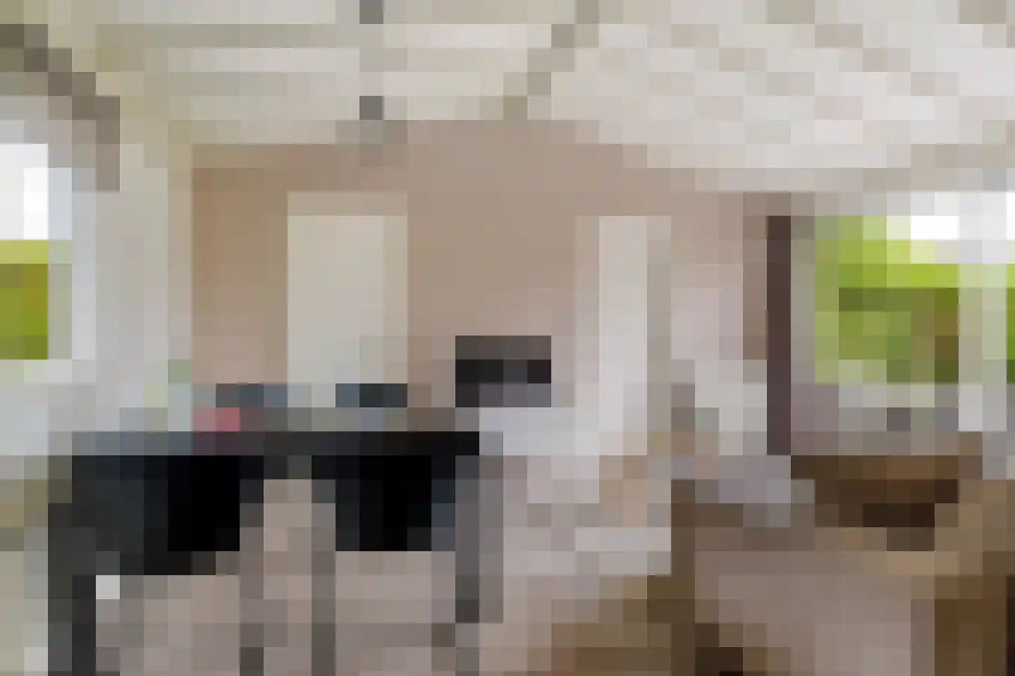 Yn 'e Lijte 55 Grou thumbnail 6