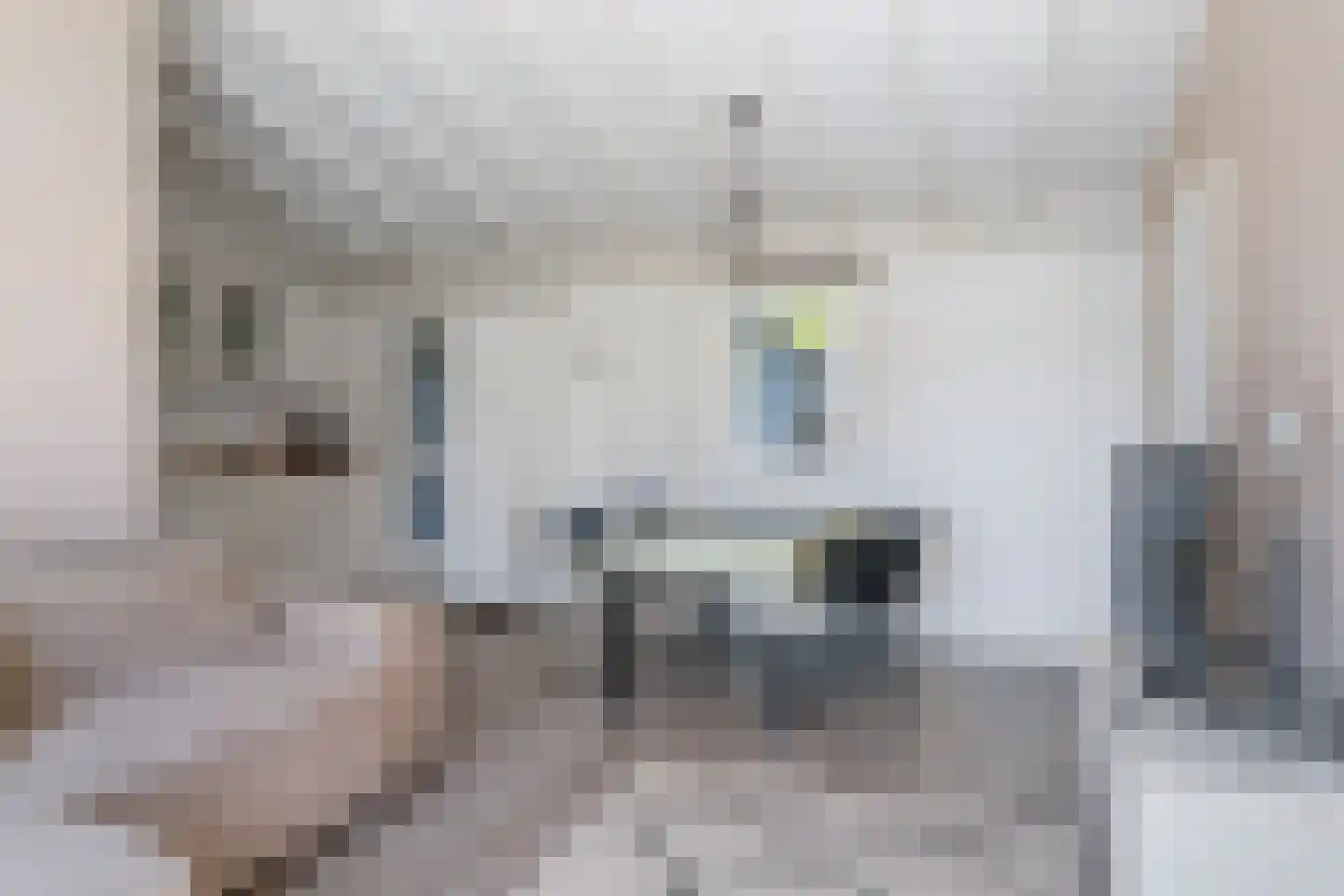 Yn 'e Lijte 55 Grou thumbnail 6
