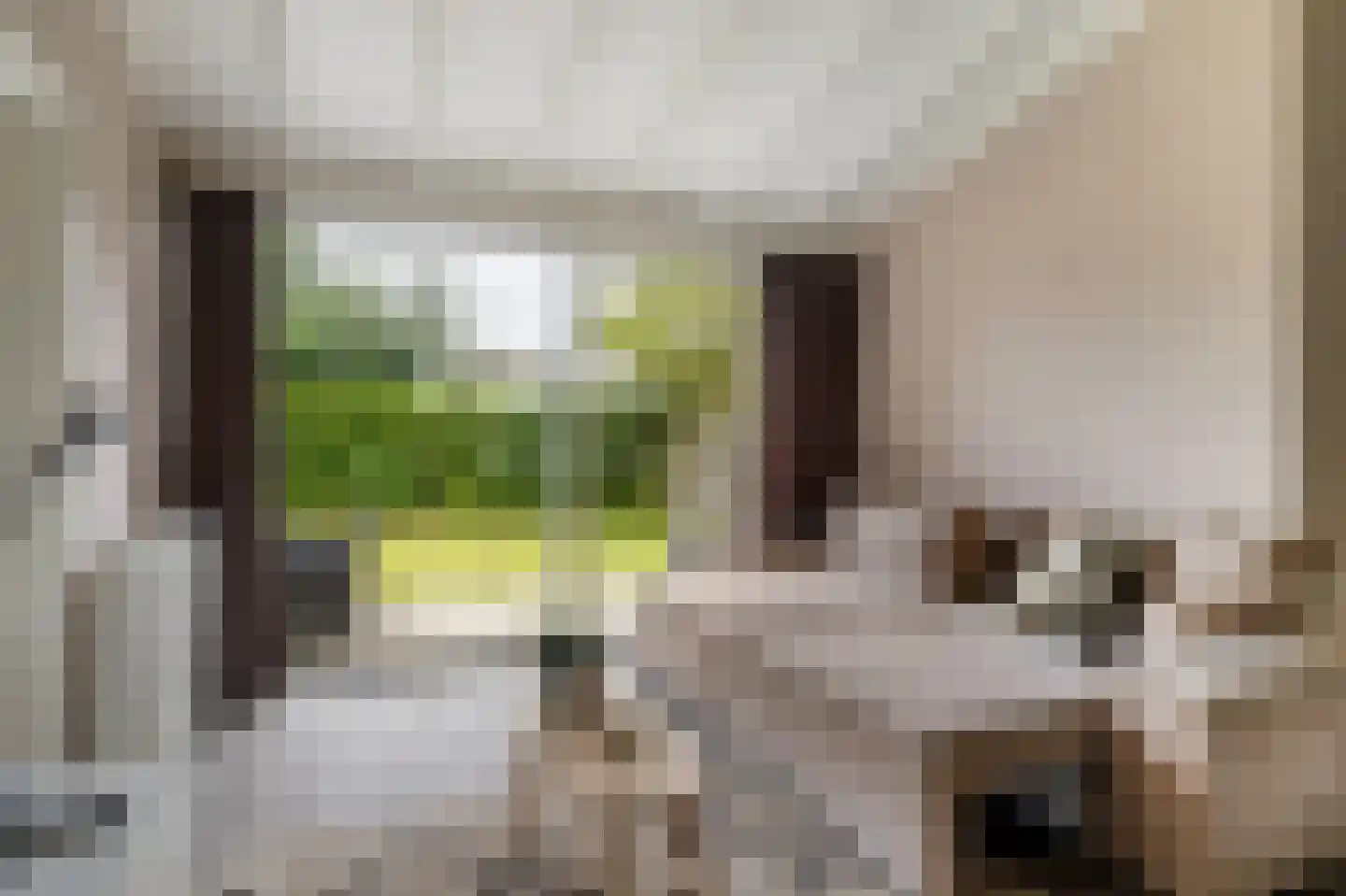 Yn 'e Lijte 55 Grou thumbnail 7