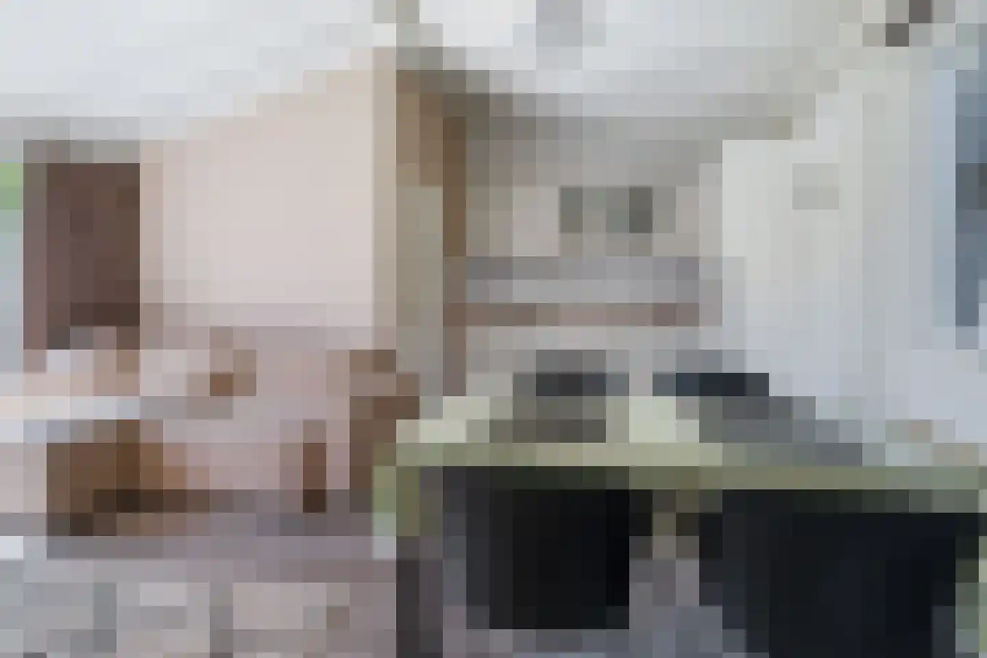 Yn 'e Lijte 55 Grou thumbnail 8