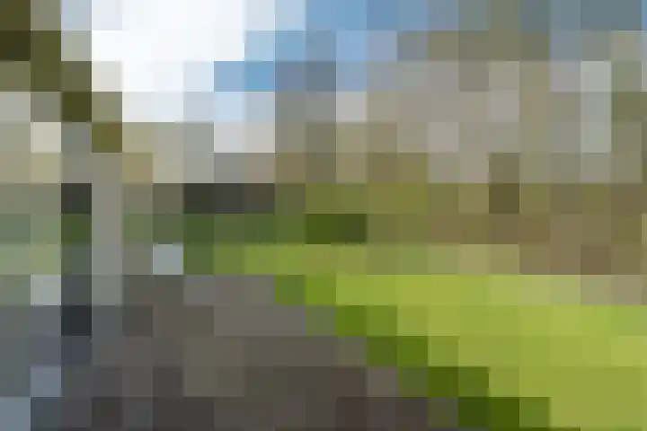 Yn 'e Lijte 56 Grou foto 2