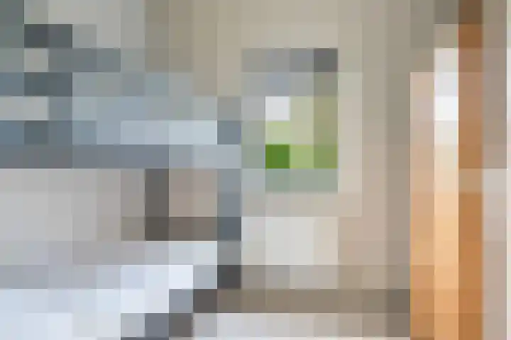 Yn 'e Lijte 56 Grou thumbnail 23