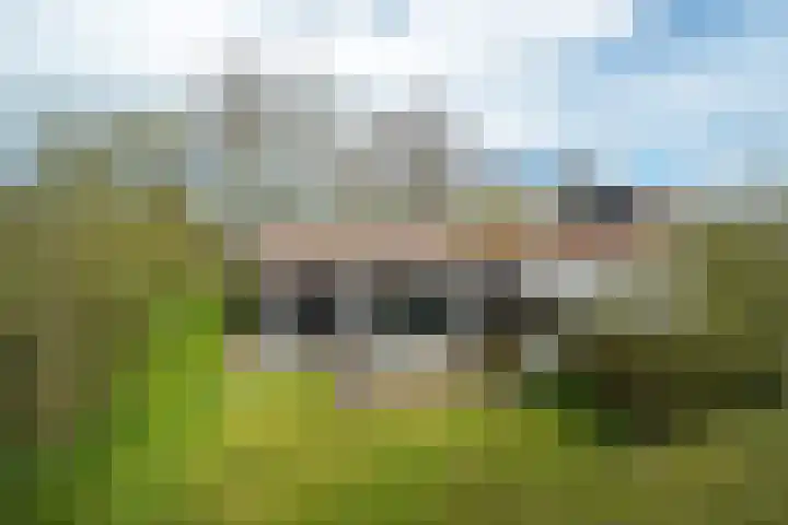 Yn 'e Lijte 56 Grou thumbnail 27