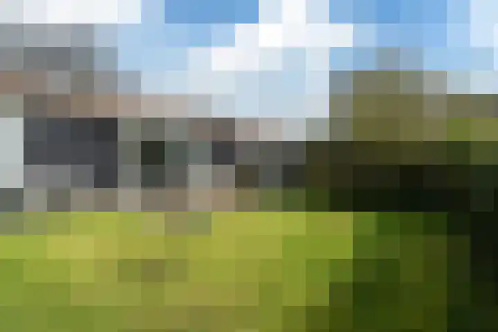 Yn 'e Lijte 56 Grou thumbnail 28