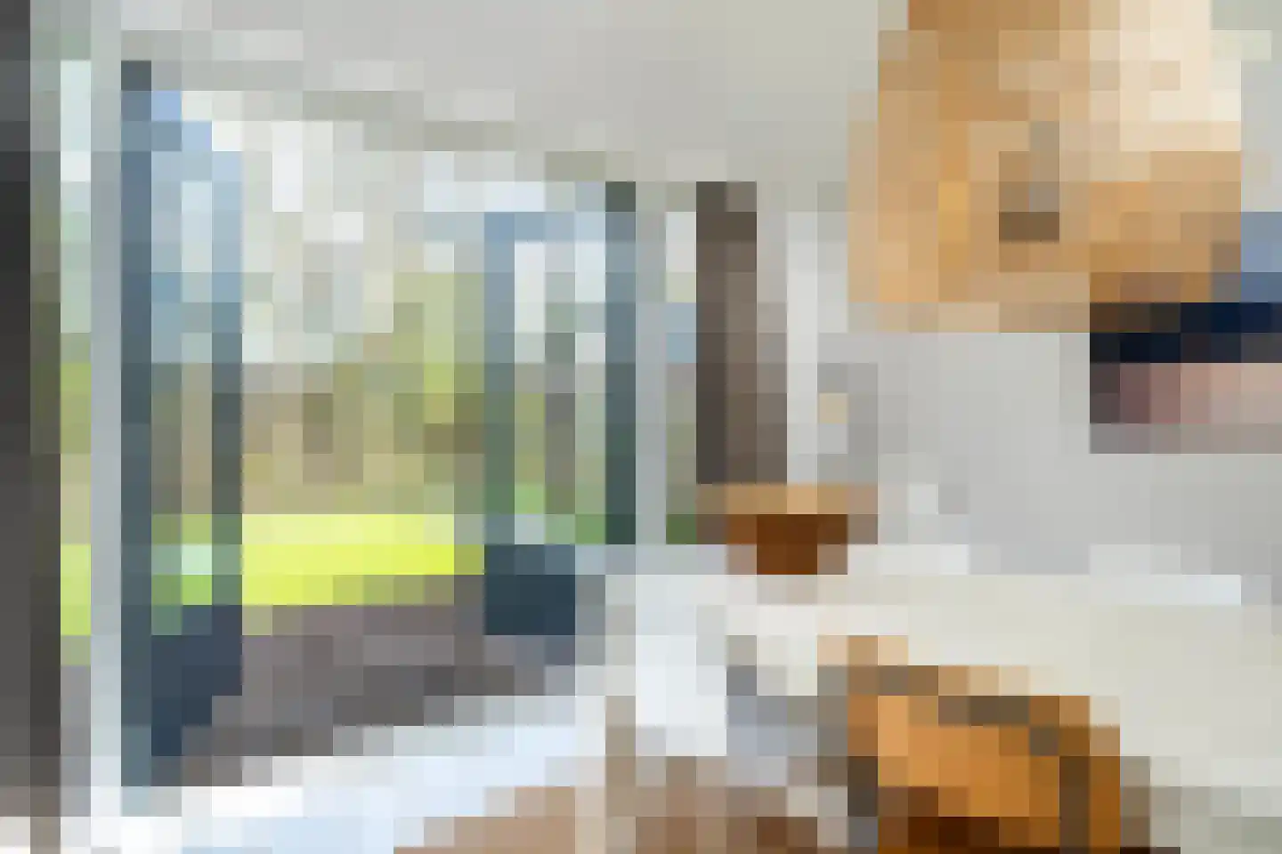 Yn 'e Lijte 56 Grou foto 3