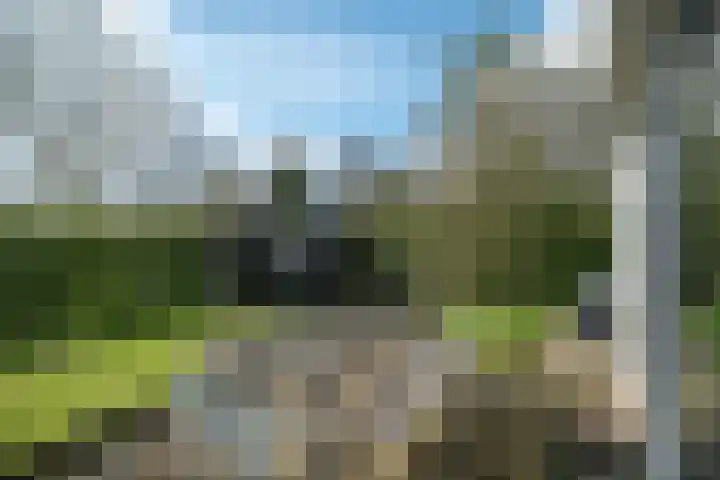 Yn 'e Lijte 56 Grou thumbnail 30