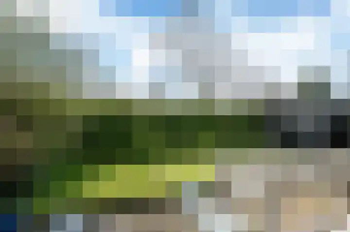 Yn 'e Lijte 56 Grou thumbnail 31