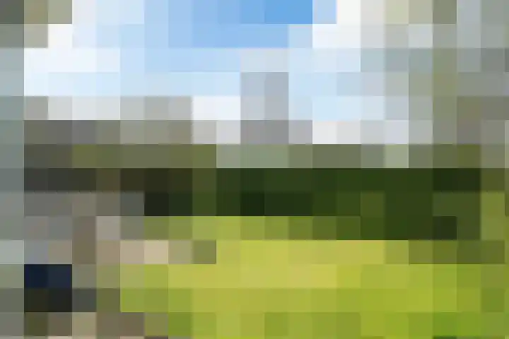 Yn 'e Lijte 56 Grou thumbnail 32