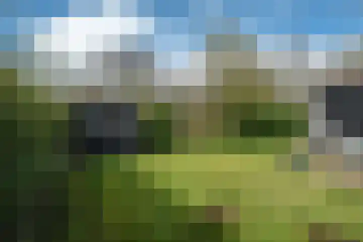Yn 'e Lijte 56 Grou thumbnail 33