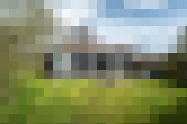 Yn 'e Lijte 56 Grou thumbnail 34