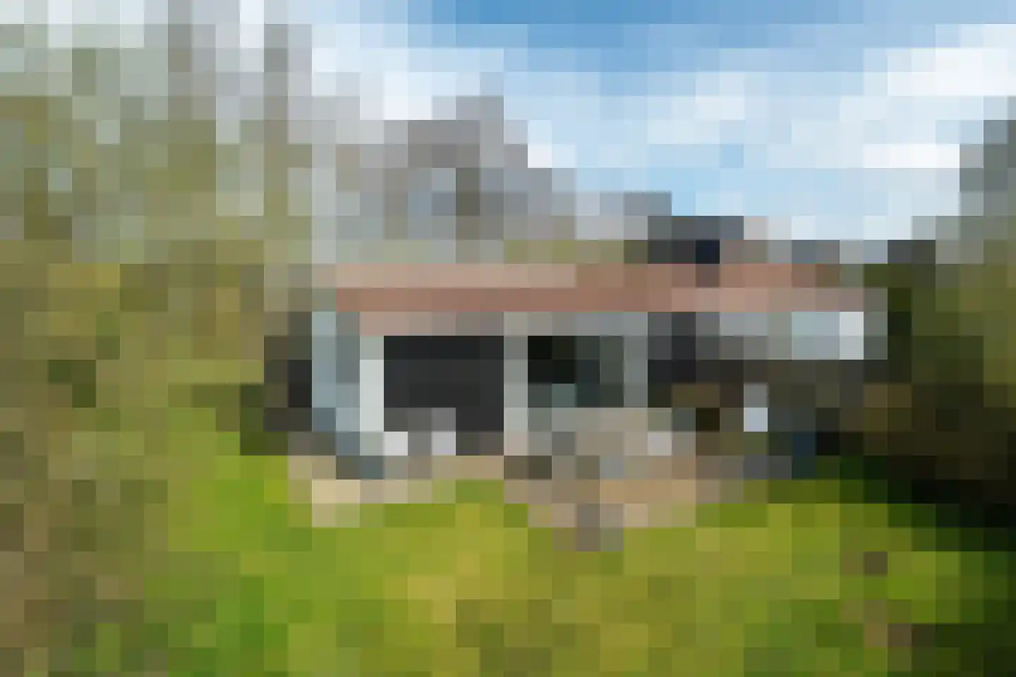 Yn 'e Lijte 56 Grou thumbnail 35
