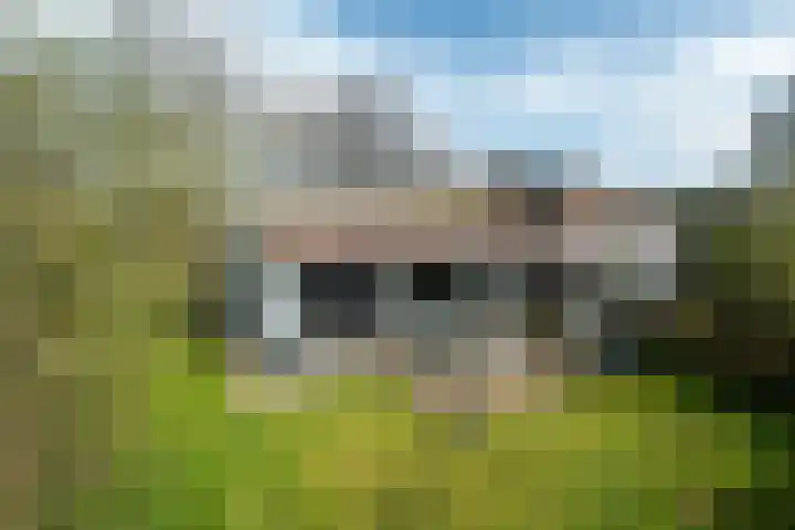 Yn 'e Lijte 56 Grou thumbnail 35