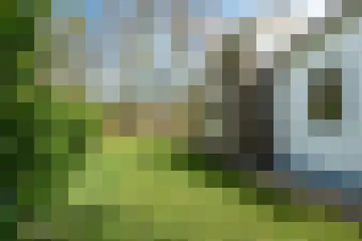 Yn 'e Lijte 56 Grou thumbnail 36