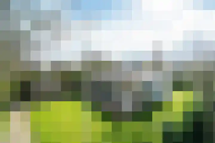 Yn 'e Lijte 56 Grou thumbnail 37