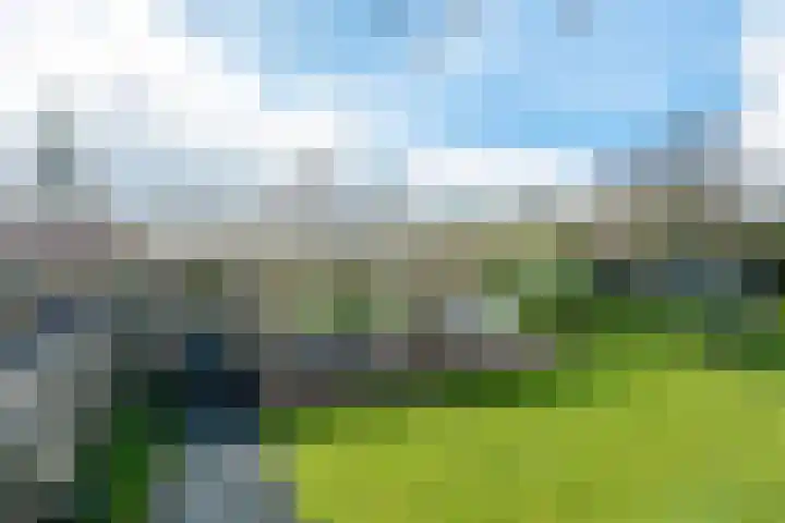 Yn 'e Lijte 56 Grou thumbnail 38
