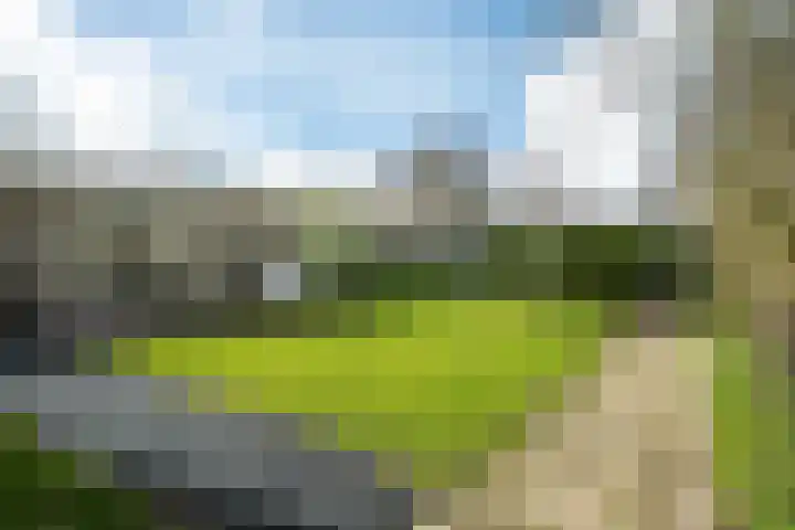 Yn 'e Lijte 56 Grou thumbnail 39