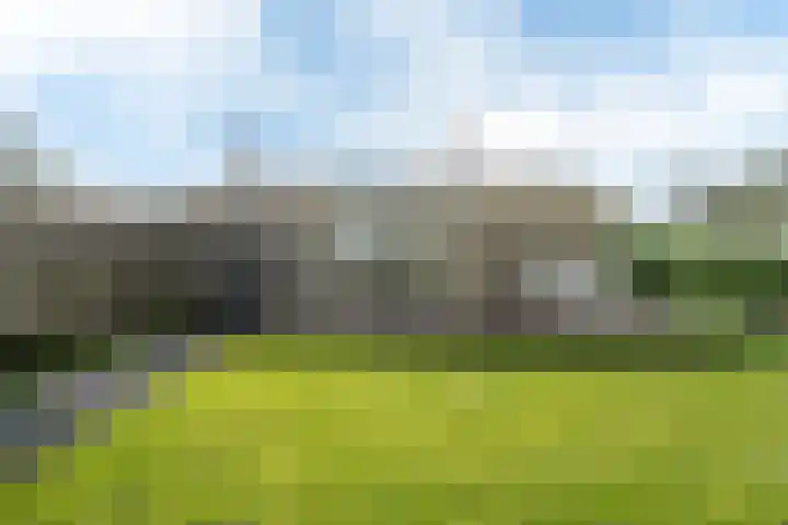 Yn 'e Lijte 56 Grou thumbnail 40