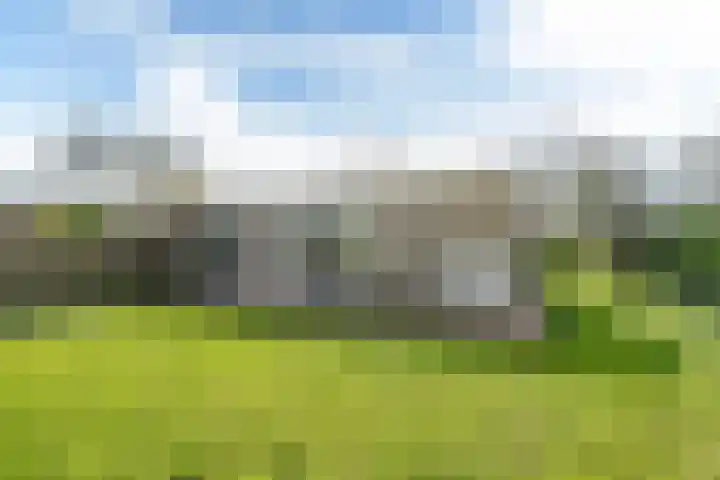 Yn 'e Lijte 56 Grou thumbnail 41