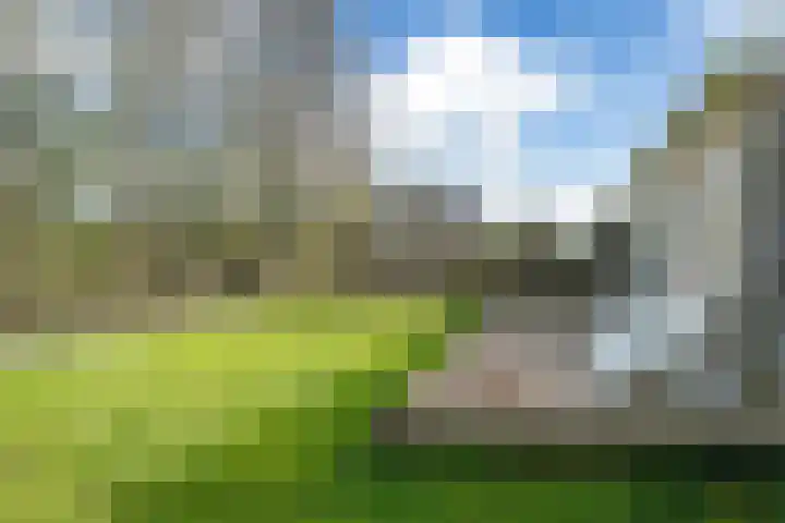 Yn 'e Lijte 56 Grou thumbnail 42