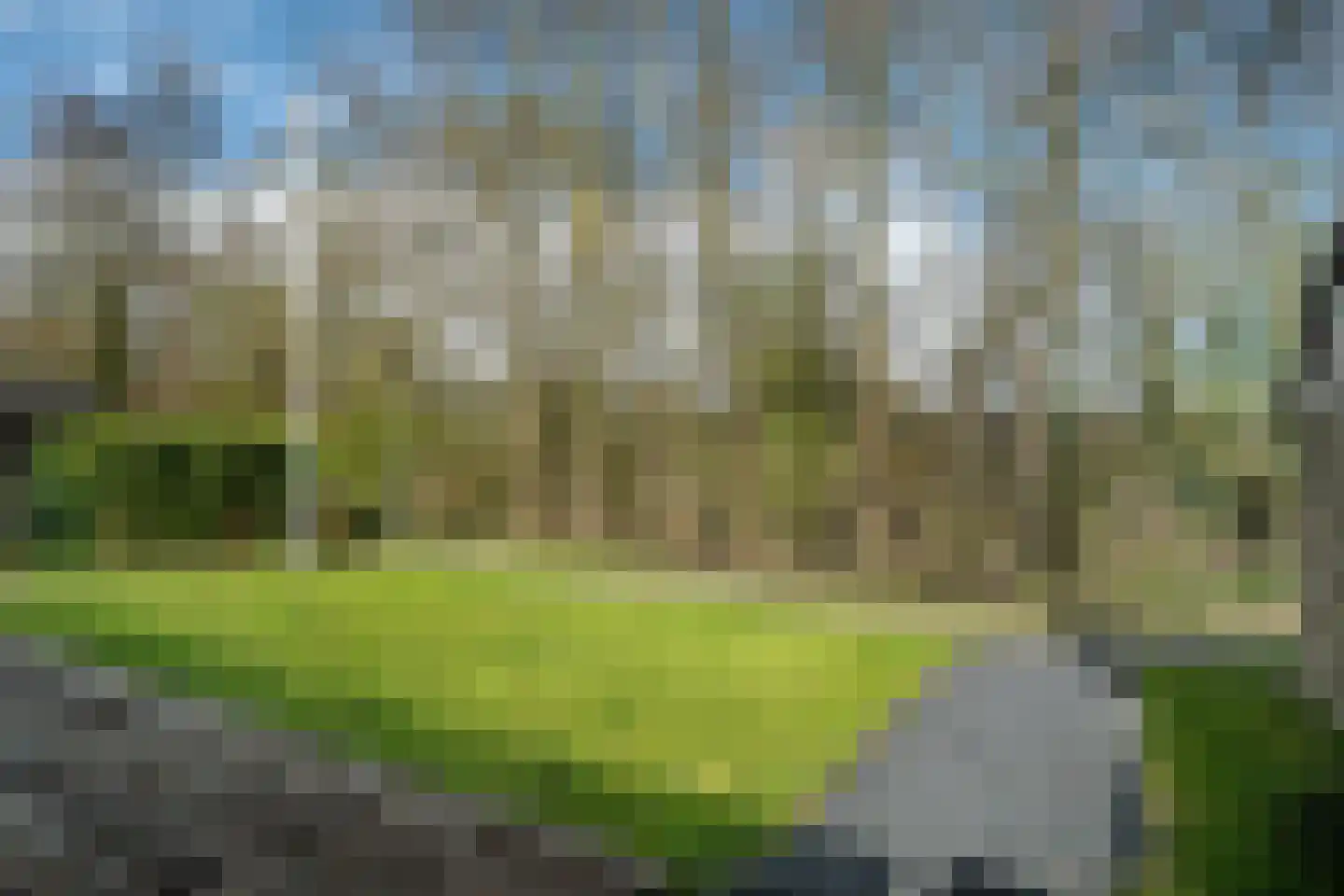 Yn 'e Lijte 56 Grou thumbnail 43