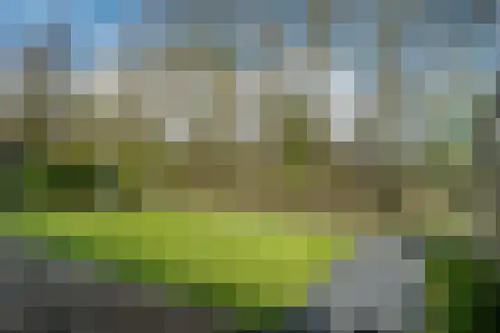 Yn 'e Lijte 56 Grou thumbnail 43