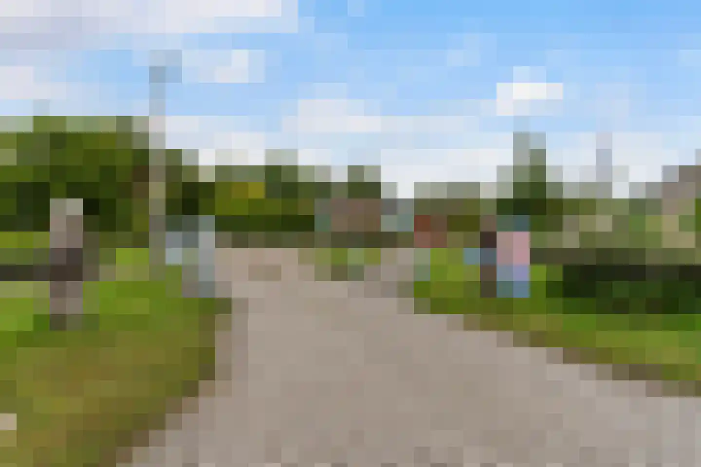 Yn 'e Lijte 64 Grou thumbnail 10