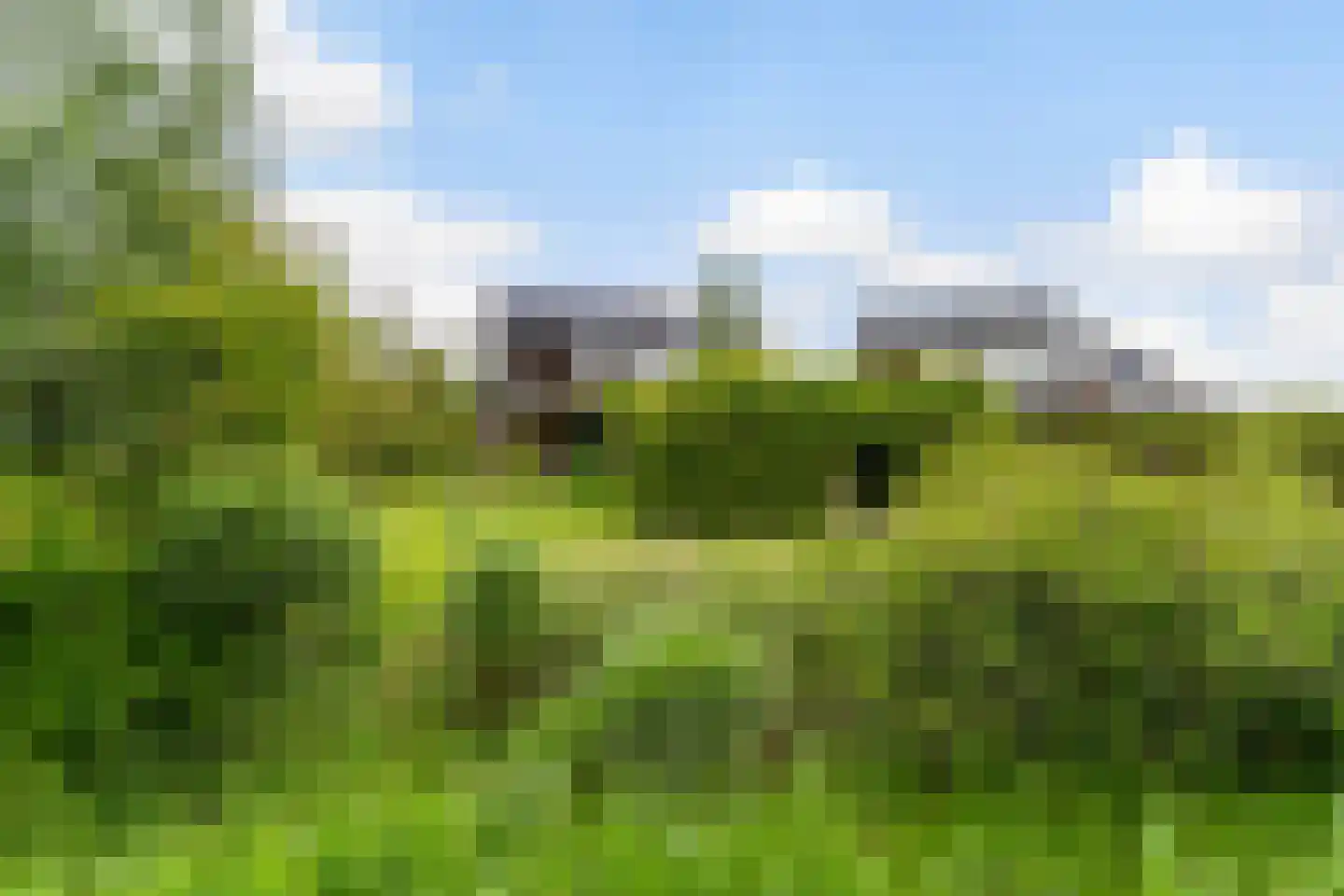 Yn 'e Lijte 64 Grou thumbnail 11