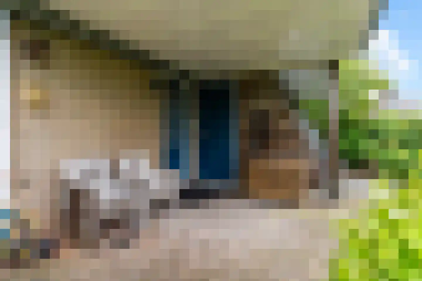 Yn 'e Lijte 64 Grou thumbnail 13