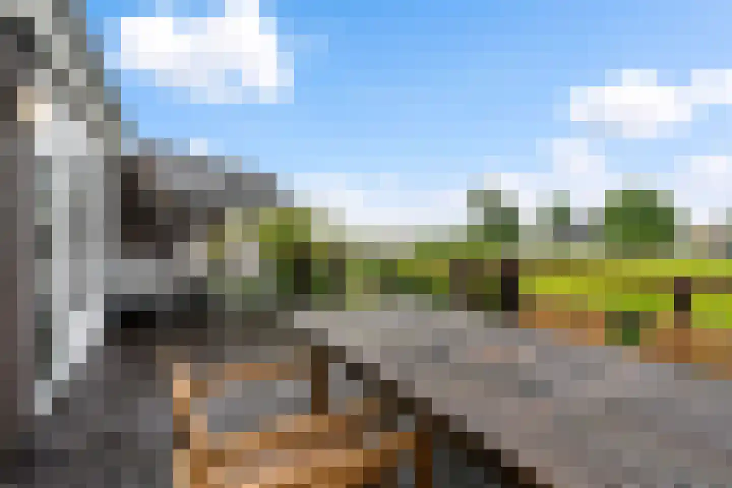 Yn 'e Lijte 64 Grou thumbnail 28