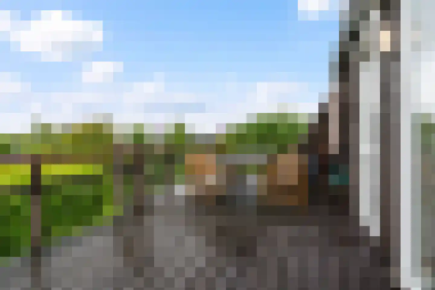 Yn 'e Lijte 64 Grou thumbnail 29