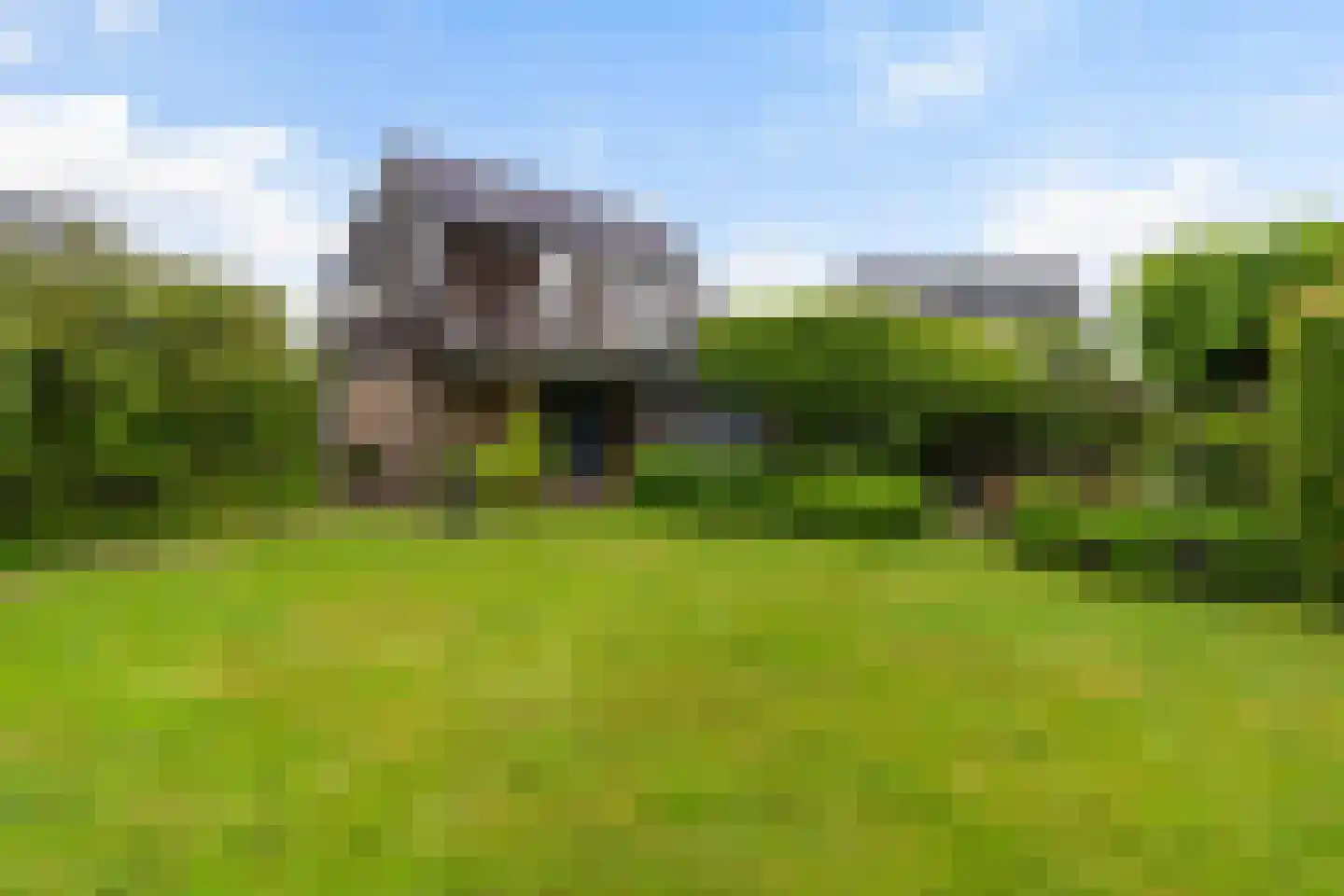 Yn 'e Lijte 64 Grou foto 3