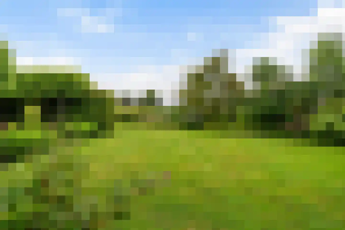 Yn 'e Lijte 64 Grou thumbnail 31