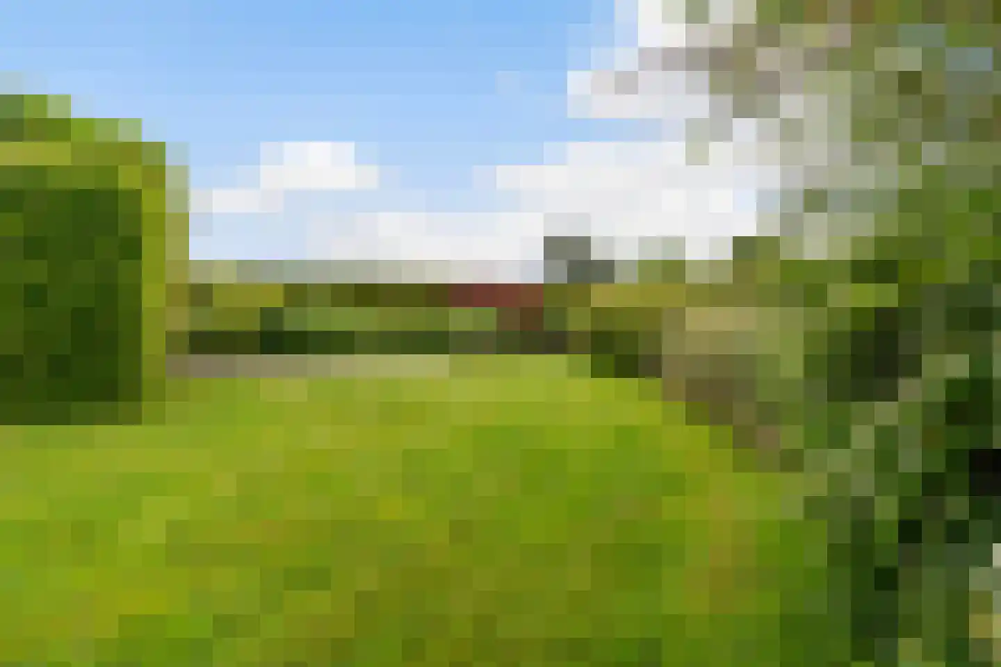 Yn 'e Lijte 64 Grou thumbnail 32
