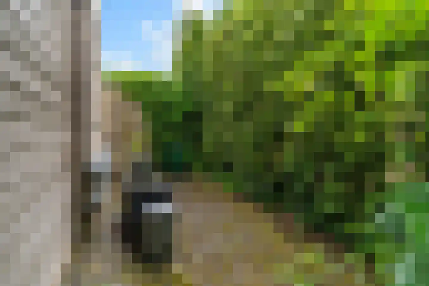 Yn 'e Lijte 64 Grou thumbnail 33