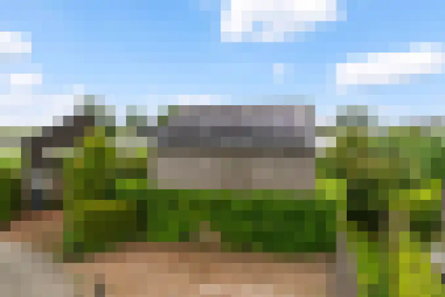 Yn 'e Lijte 64 Grou thumbnail 35